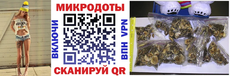 Купить  Суджа  Псилоцибиновые грибы Cubensis 